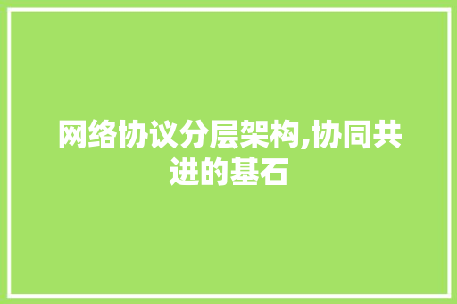 网络协议分层架构,协同共进的基石 GoogleSEO