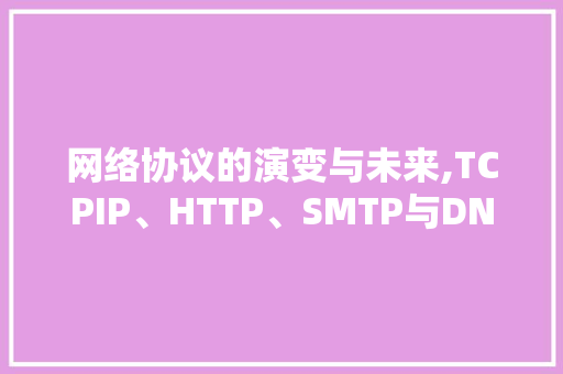 网络协议的演变与未来,TCPIP、HTTP、SMTP与DNS的交汇点 GoogleSEO