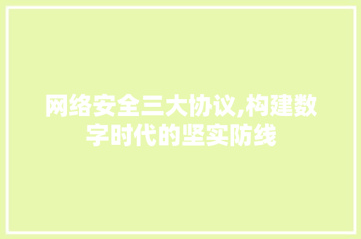 网络安全三大协议,构建数字时代的坚实防线 百度SEO