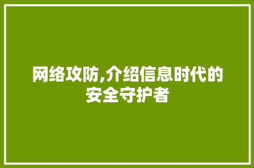 网络攻防,介绍信息时代的安全守护者 GoogleSEO