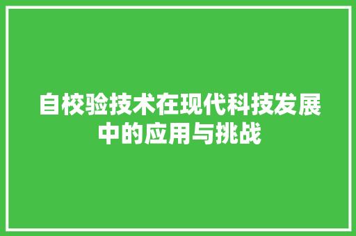 自校验技术在现代科技发展中的应用与挑战 GoogleSEO