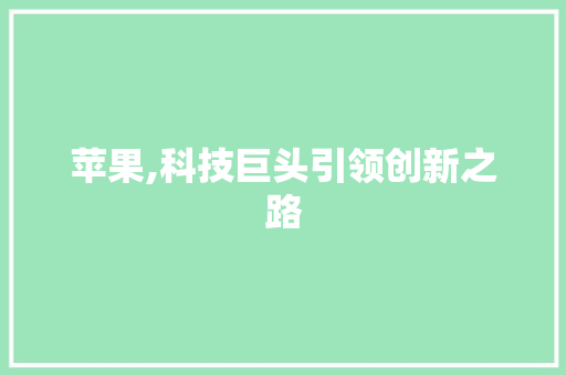 苹果,科技巨头引领创新之路 神马SEO