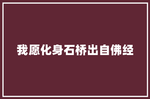 蒙氏证CMS,探索儿童早期教育的新视角 神马SEO