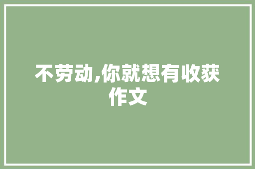 蔡文深,CMS领域的先行者与创新引领者 神马SEO