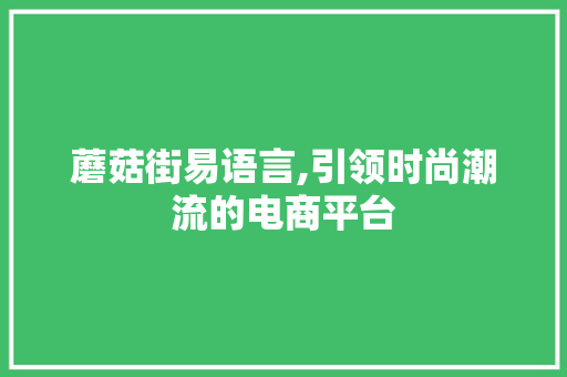 蘑菇街易语言,引领时尚潮流的电商平台