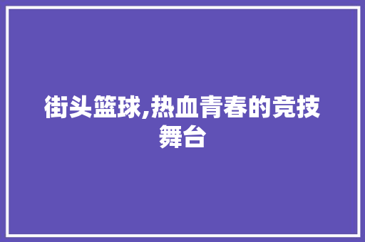 街头篮球,热血青春的竞技舞台 神马SEO
