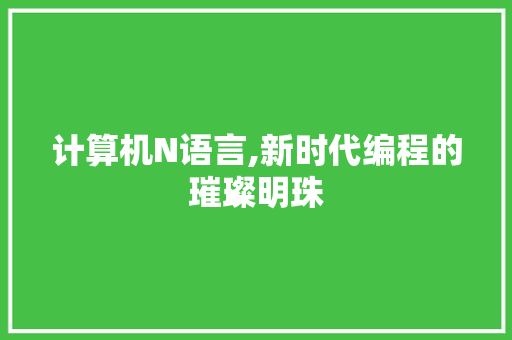 计算机N语言,新时代编程的璀璨明珠