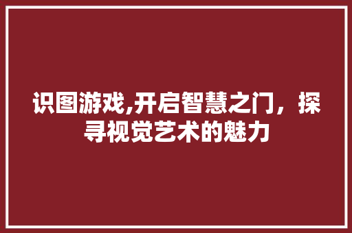 识图游戏,开启智慧之门，探寻视觉艺术的魅力 必应SEO