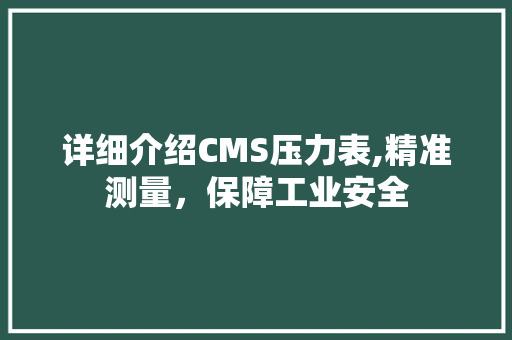 详细介绍CMS压力表,精准测量，保障工业安全 搜狗SEO