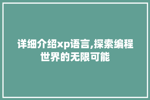 详细介绍xp语言,探索编程世界的无限可能 必应SEO