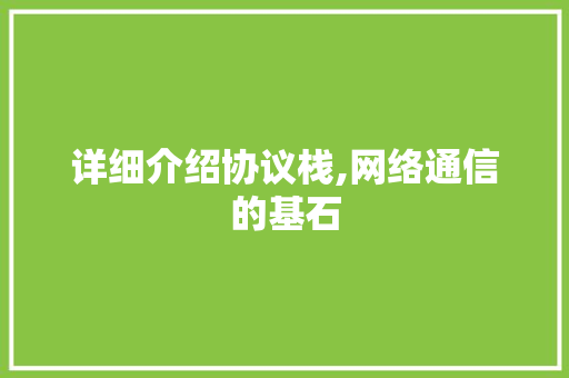 详细介绍协议栈,网络通信的基石 神马SEO