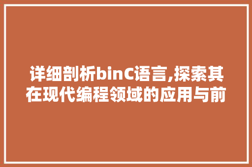 详细剖析binC语言,探索其在现代编程领域的应用与前景 神马SEO