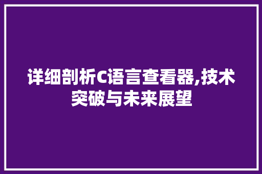 详细剖析C语言查看器,技术突破与未来展望 必应SEO