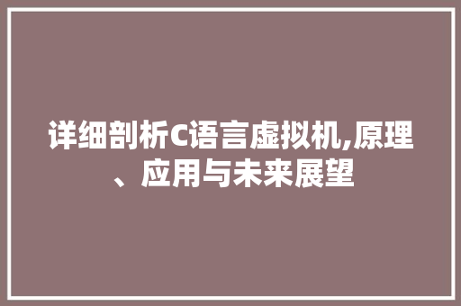详细剖析C语言虚拟机,原理、应用与未来展望 GoogleSEO