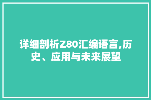 详细剖析Z80汇编语言,历史、应用与未来展望 必应SEO
