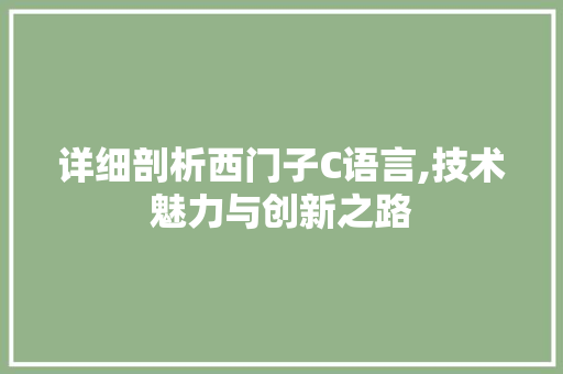详细剖析西门子C语言,技术魅力与创新之路 GoogleSEO