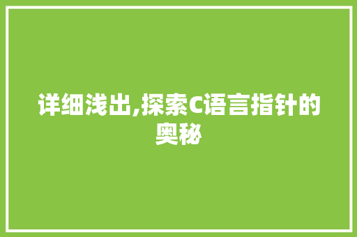 详细浅出,探索C语言指针的奥秘 GoogleSEO