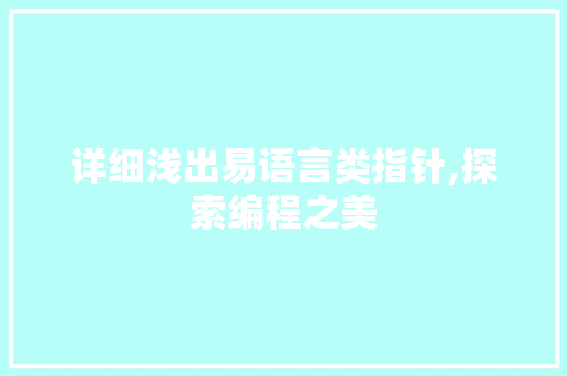 详细浅出易语言类指针,探索编程之美