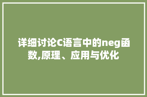 详细讨论C语言中的neg函数,原理、应用与优化 GoogleSEO