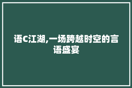 语C江湖,一场跨越时空的言语盛宴 GoogleSEO