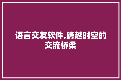 语言交友软件,跨越时空的交流桥梁 必应SEO