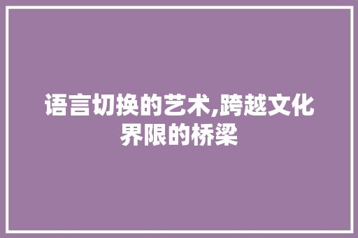 语言切换的艺术,跨越文化界限的桥梁 搜狗SEO