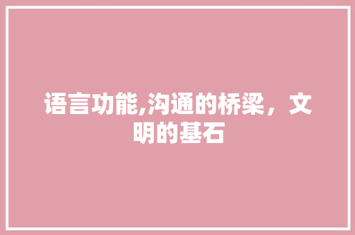 语言功能,沟通的桥梁，文明的基石 百度SEO