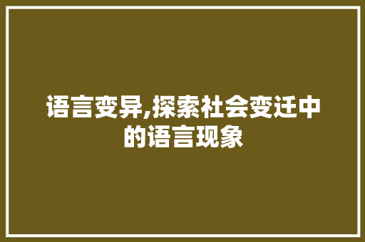 语言变异,探索社会变迁中的语言现象