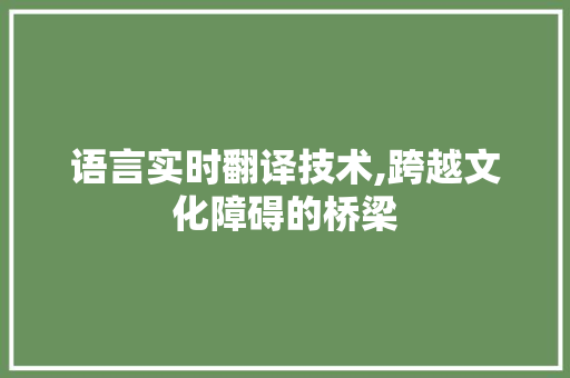 语言实时翻译技术,跨越文化障碍的桥梁 百度SEO