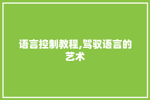 语言控制教程,驾驭语言的艺术 必应SEO
