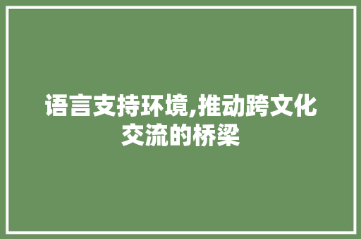 语言支持环境,推动跨文化交流的桥梁
