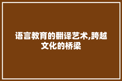 语言教育的翻译艺术,跨越文化的桥梁 必应SEO