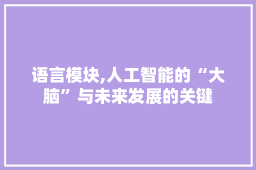 语言模块,人工智能的“大脑”与未来发展的关键 百度SEO