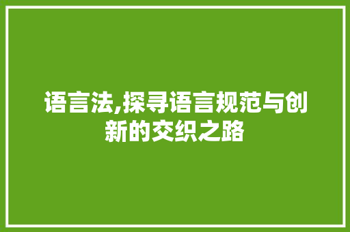 语言法,探寻语言规范与创新的交织之路 神马SEO