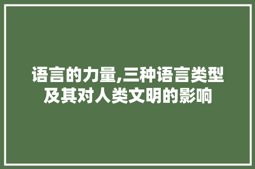 语言的力量,三种语言类型及其对人类文明的影响 神马SEO