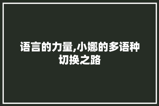 语言的力量,小娜的多语种切换之路 百度SEO