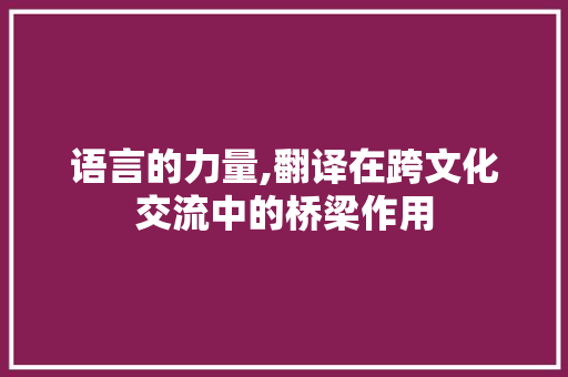 语言的力量,翻译在跨文化交流中的桥梁作用 GoogleSEO