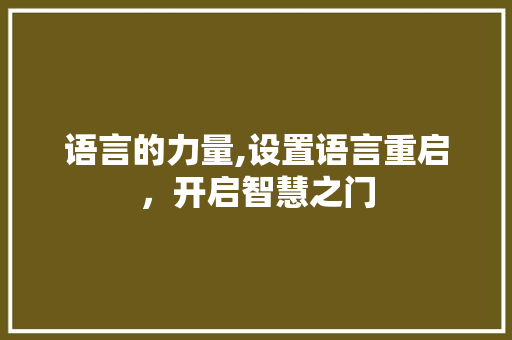 语言的力量,设置语言重启，开启智慧之门 必应SEO