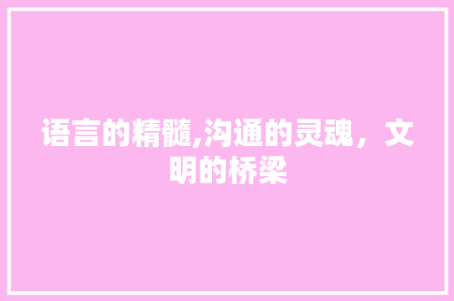 语言的精髓,沟通的灵魂，文明的桥梁 必应SEO