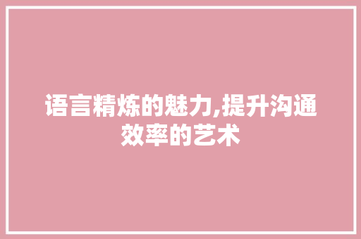 语言精炼的魅力,提升沟通效率的艺术 百度SEO