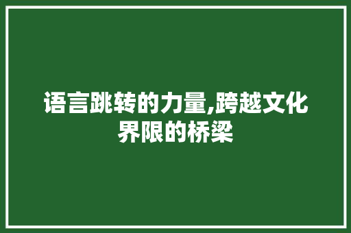 语言跳转的力量,跨越文化界限的桥梁 神马SEO