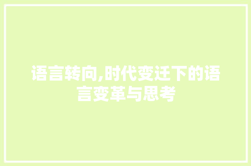 语言转向,时代变迁下的语言变革与思考 必应SEO