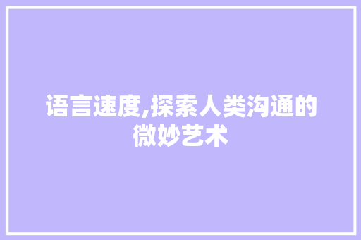 语言速度,探索人类沟通的微妙艺术