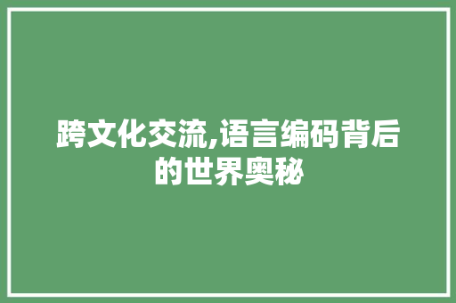 跨文化交流,语言编码背后的世界奥秘 百度SEO