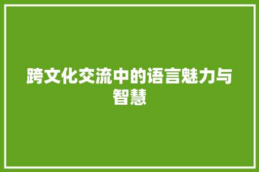 跨文化交流中的语言魅力与智慧 搜狗SEO