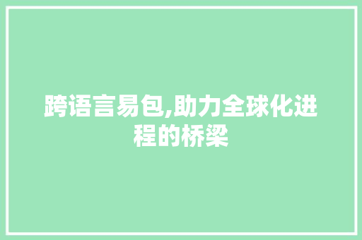 跨语言易包,助力全球化进程的桥梁 GoogleSEO