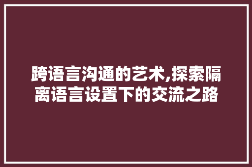 跨语言沟通的艺术,探索隔离语言设置下的交流之路