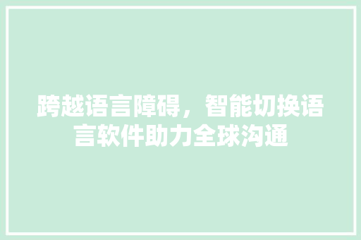 跨越语言障碍，智能切换语言软件助力全球沟通 百度SEO