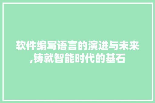 软件编写语言的演进与未来,铸就智能时代的基石 百度SEO