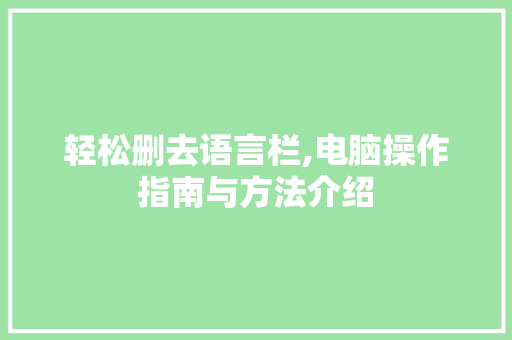 轻松删去语言栏,电脑操作指南与方法介绍 神马SEO